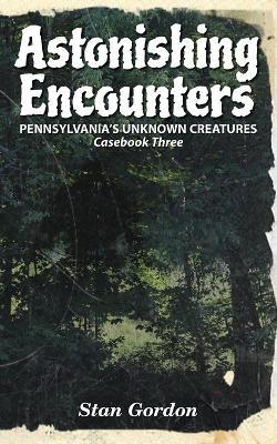 Astonishing Encounters: Pennsylvania's Unknown Creatures, Casebook 3 - Stan Gordon