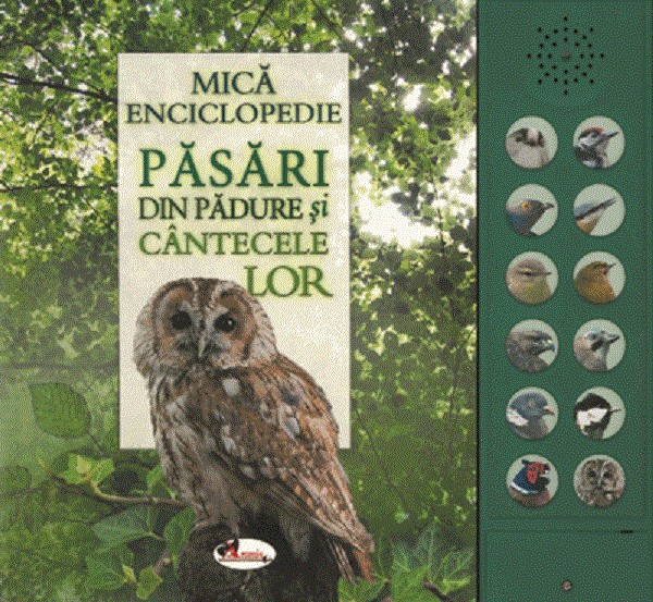 Mica enciclopedie: Pasari din padure si cantecele lor