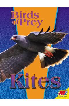 Coperta cărții 'Kites - E. Melanie Watt'