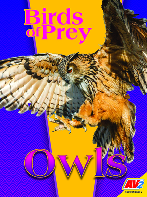 Coperta cărții 'Owls - Nick Winnick'