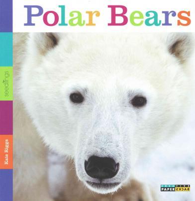 Seedlings: Polar Bears - Kate Riggs