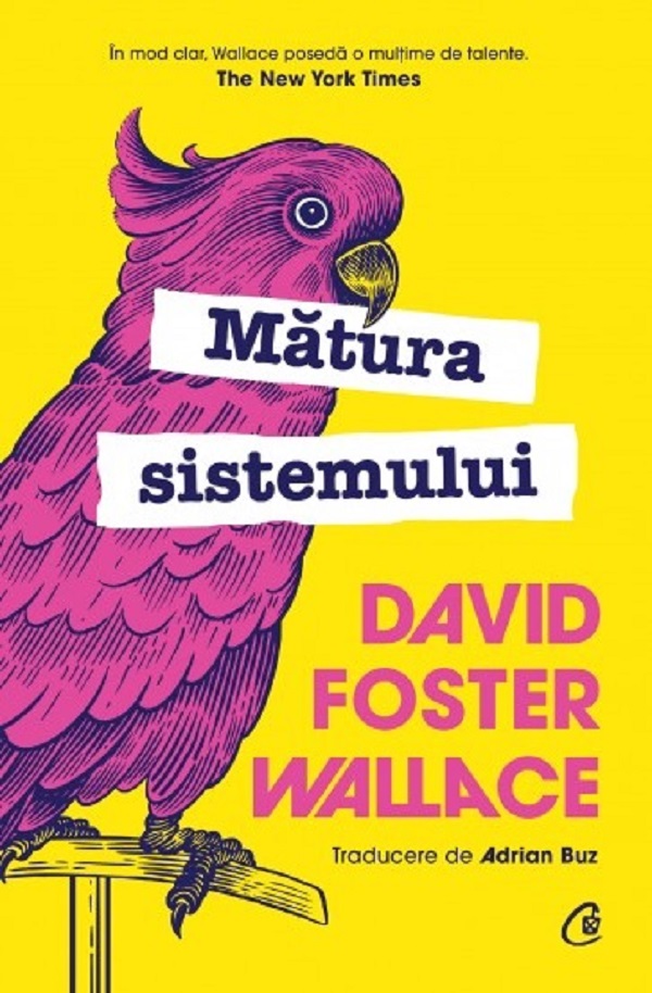 Matura sistemului - David Foster Wallace