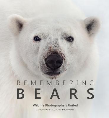 Remembering Bears - Margot Raggett