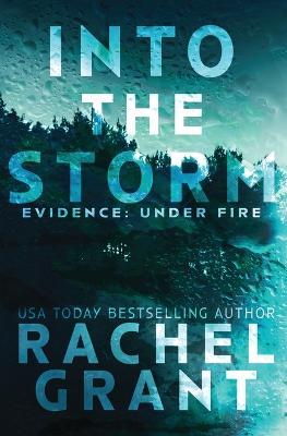 Into the Storm - Rachel Grant