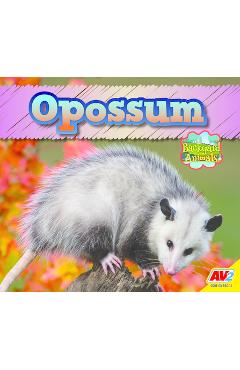 Coperta cărții 'Opossum - Jordan Mcgill'