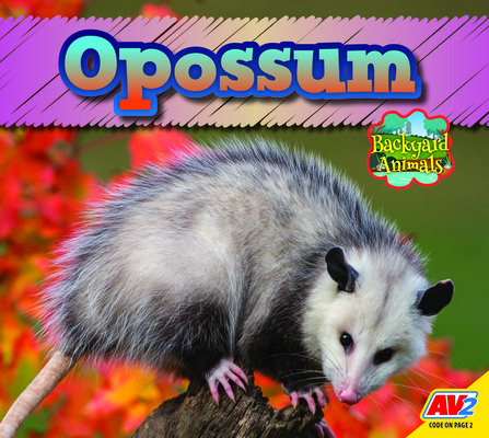 Coperta cărții 'Opossum - Jordan Mcgill'