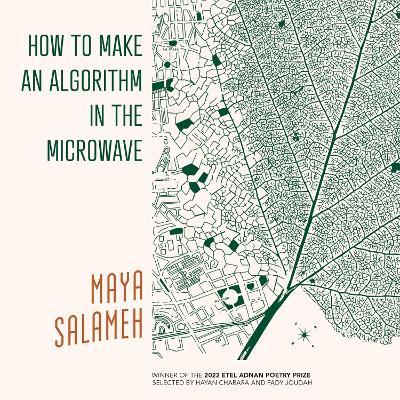 How to Make an Algorithm in the Microwave - Maya Salameh