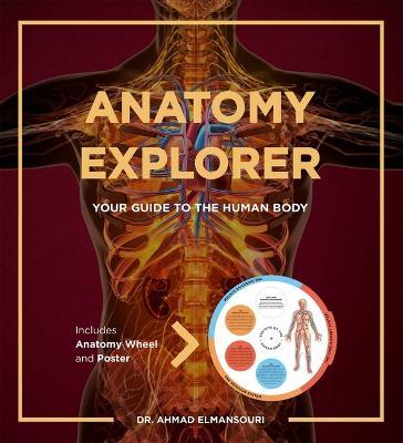 Anatomy Explorer - Ahmad Elmansouri
