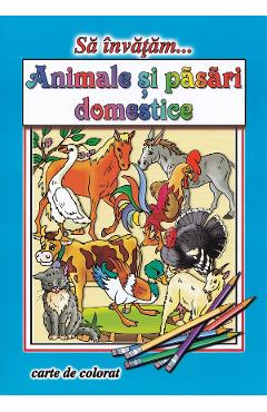 Poza produsului Sa invatam... Animale si pasari domestice. Carte de colorat - Dana Popescu