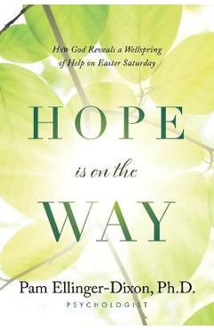 Coperta cărții 'Hope Is On The Way: How God Reveals a Wellspring of Help on Easter Saturday - Pam Ellinger-dixon'
