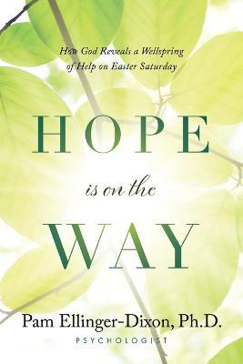 Hope Is On The Way: How God Reveals a Wellspring of Help on Easter Saturday - Pam Ellinger-dixon