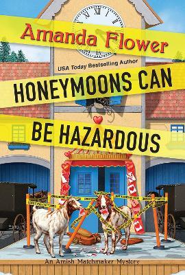 Honeymoons Can Be Hazardous - Amanda Flower
