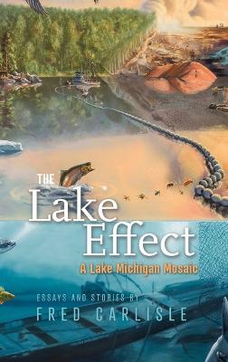 The Lake Effect: A Lake Michigan Mosaic - Fred Carlisle