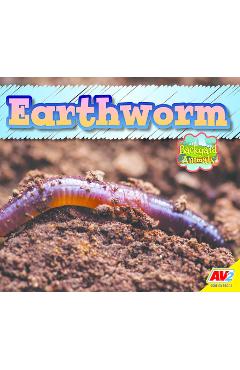 Coperta cărții 'Earthworm - Aaron Carr'