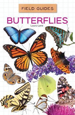 Butterflies - Laura Lane