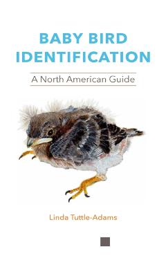 Baby Bird Identification: A North American Guide - Linda Tuttle-adams