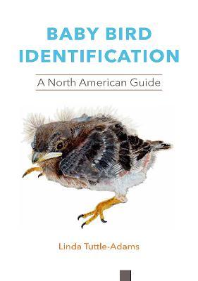 Baby Bird Identification: A North American Guide - Linda Tuttle-adams