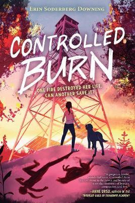 Controlled Burn - Erin Soderberg Downing