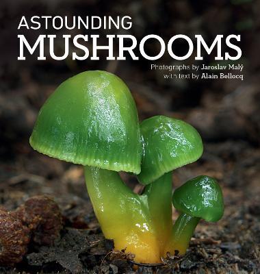 Astounding Mushrooms - Jaroslav Maly