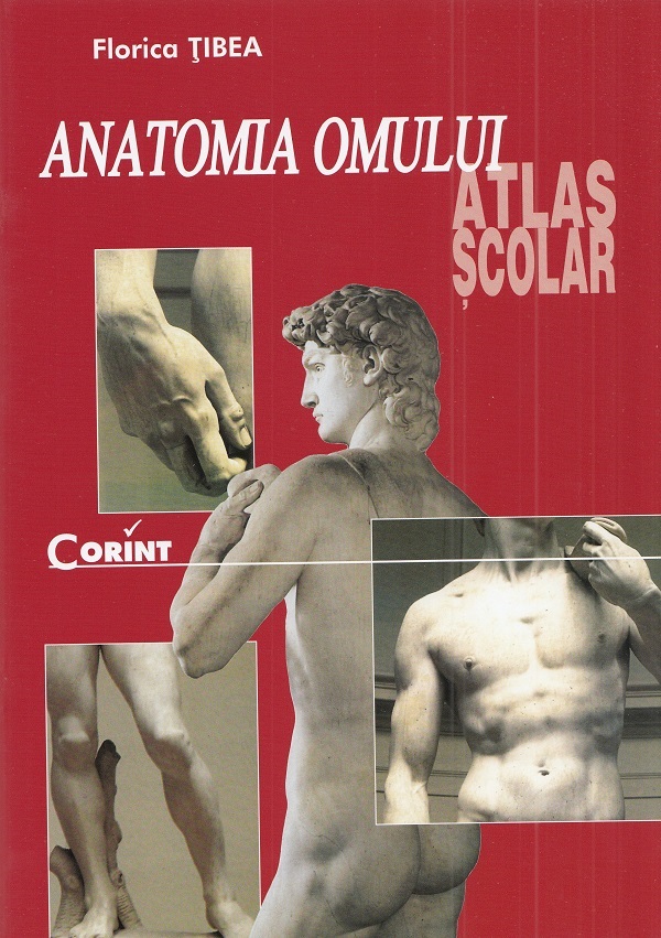 Anatomia omului. Atlas scolar - Florica Tibea