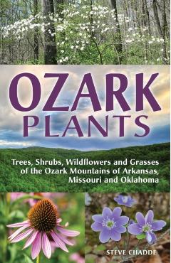 Ozark Plants - Steve Chadde