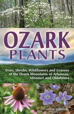 Ozark Plants - Steve Chadde