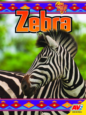 Zebra - Katie Gillespie