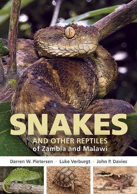 Field Guide to Snakes and Other Reptiles of Zambia and Malawi - Darren W. Pietersen