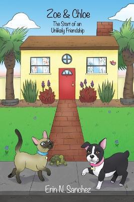 Zoe & Chloe: The Start of an Unlikely Friendship - Erin N. Sanchez
