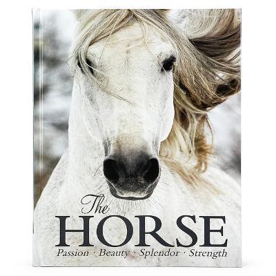 The Horse - Parragon Books