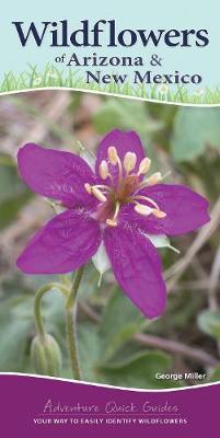 Wildflowers of Arizona & New Mexico: Your Way to Easily Identify Wildflowers - George Oxford Miller