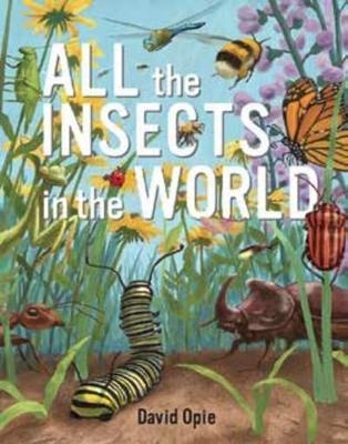 All the Insects in the World - David Opie