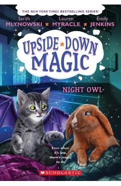 Night Owl (Upside-Down Magic #8) - Emily Jenkins