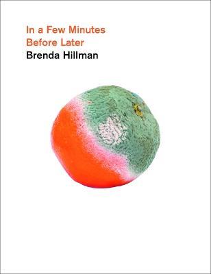 In a Few Minutes Before Later - Brenda Hillman