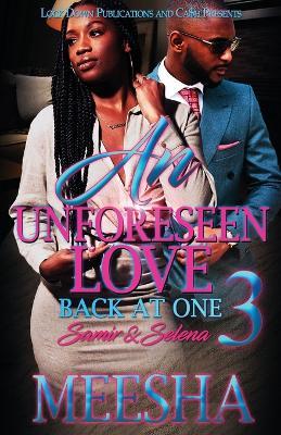 An Unforeseen Love 3 - Meesha