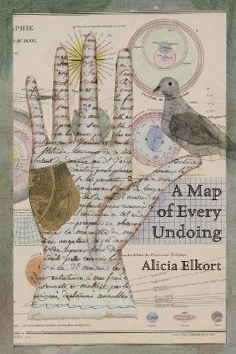 A Map of Every Undoing - Alicia Elkort