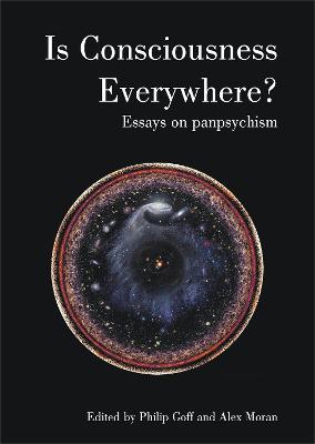 Is Consciousness Everywhere?: Essays on Panpsychism - Philip Goff