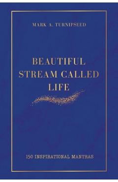 Coperta cărții 'Beautiful Stream Called Life: 150 inspirational mantras - Mark A. Turnipseed'