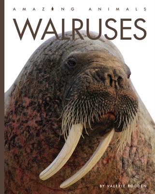 Walruses - Valerie Bodden