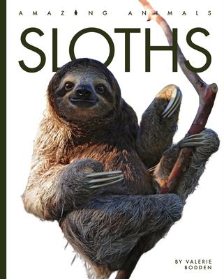 Sloths - Valerie Bodden