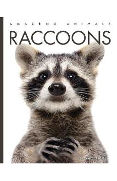 Poza produsului Raccoons - Kate Riggs