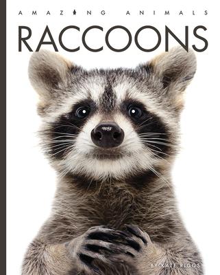 Raccoons - Kate Riggs