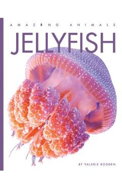 Coperta cărții 'Jellyfish - Valerie Bodden'