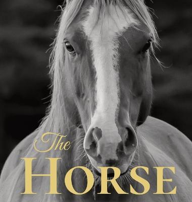 The Horse: Coffee Table Book With Quotations About The Magnificent Equines. - Jacqueline Melgren