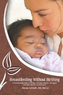 Breastfeeding Without Birthing: A Breastfeeding Guide for Mothers through Adoption, Surrogacy, and Other Special Circumstances - Alyssa Schnell