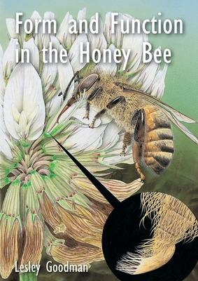 Form and Function in the Honey Bee - Lesley Goodman