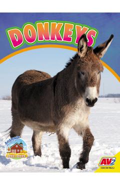 Coperta cărții 'Donkeys - Sierra Wilson'