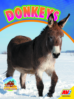 Donkeys - Sierra Wilson