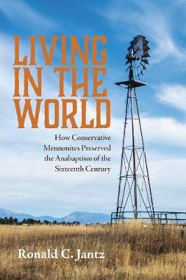 Living in the World: How Conservative Mennonites Preserved the Anabaptism of the Sixteenth Century - Ronald C. Jantz