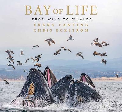 Bay of Life: From Wind to Whales - Frans Lanting